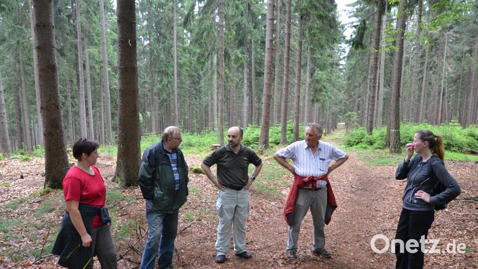 Rinnl- Wanderung mit Wanderführer Michael Rückl zum Ringelfelsen. plym