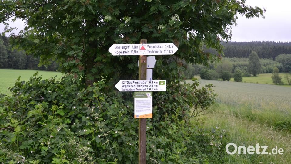 Rinnl- Wanderung mit Wanderführer Michael Rückl zum Ringelfelsen. plym