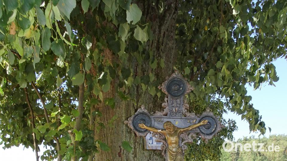 Mit dem Radl zum Bergfest: Rund um Hahnbach zum Frohnberg. Robert Stammler