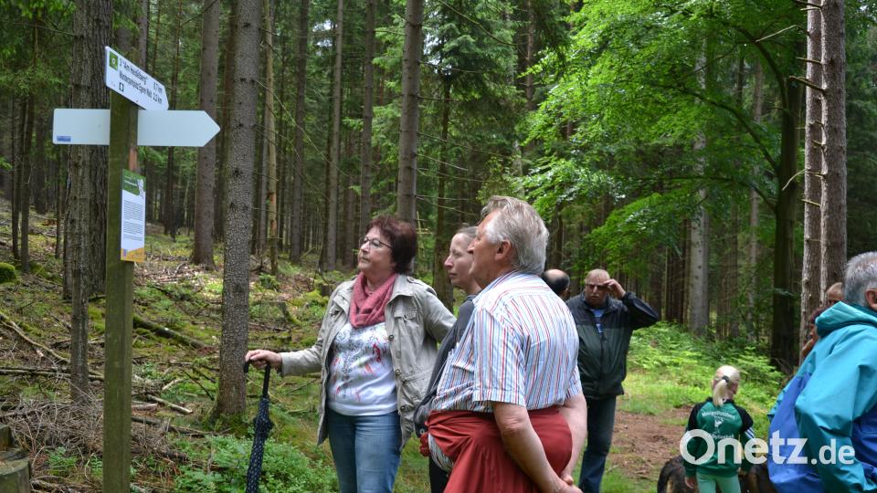 Rinnl- Wanderung mit Wanderführer Michael Rückl zum Ringelfelsen. plym