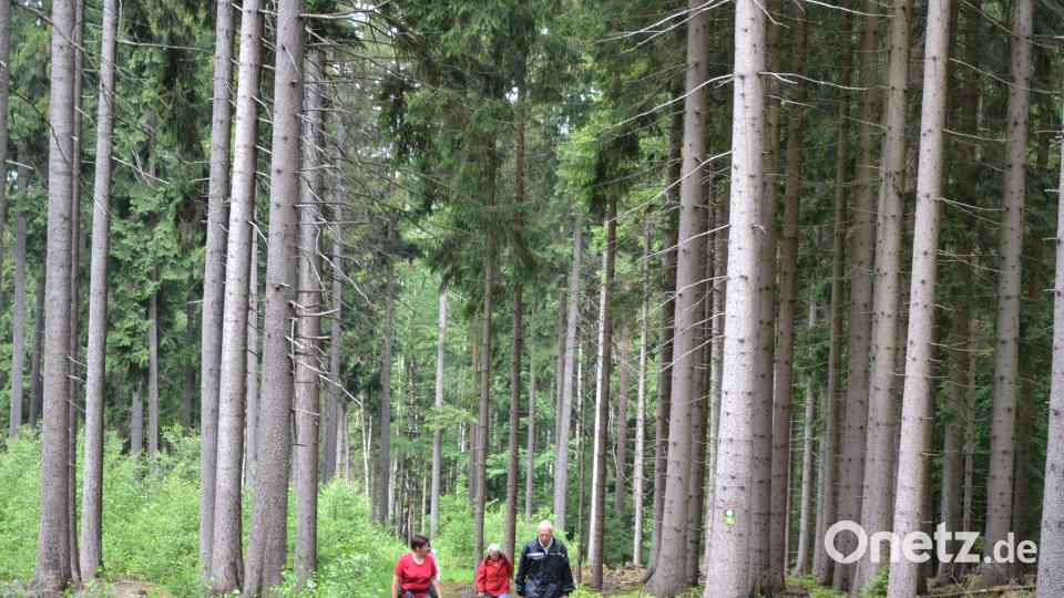 Rinnl- Wanderung mit Wanderführer Michael Rückl zum Ringelfelsen. plym