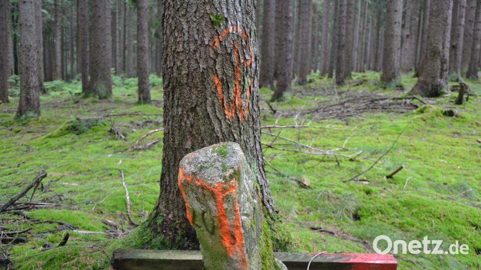 Rinnl- Wanderung mit Wanderführer Michael Rückl zum Ringelfelsen. plym