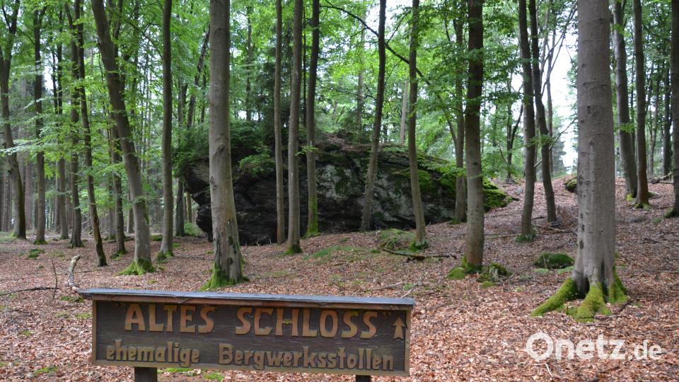 Rinnl- Wanderung mit Wanderführer Michael Rückl zum Ringelfelsen. l plym
