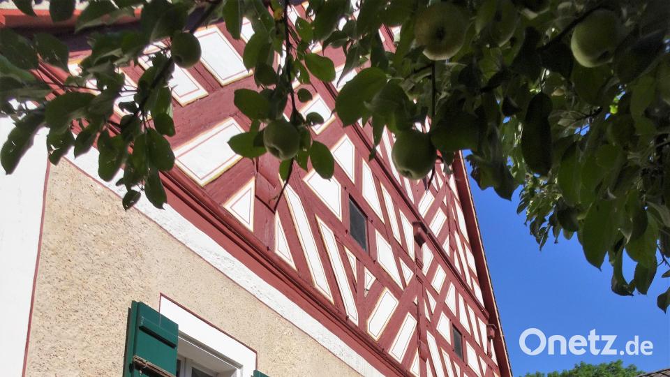 Mit dem Radl zum Bergfest: Rund um Hahnbach zum Frohnberg. Robert Stammler
