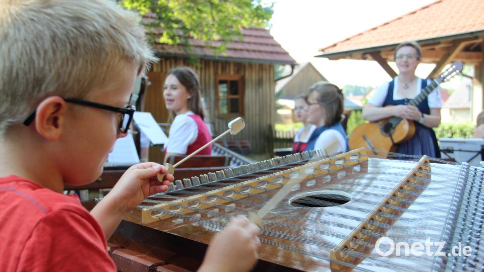 So ein Hackbrett kann ganz schön unübersichtlich sein. Doch Paul hat alles im Griff. Uli Piehler