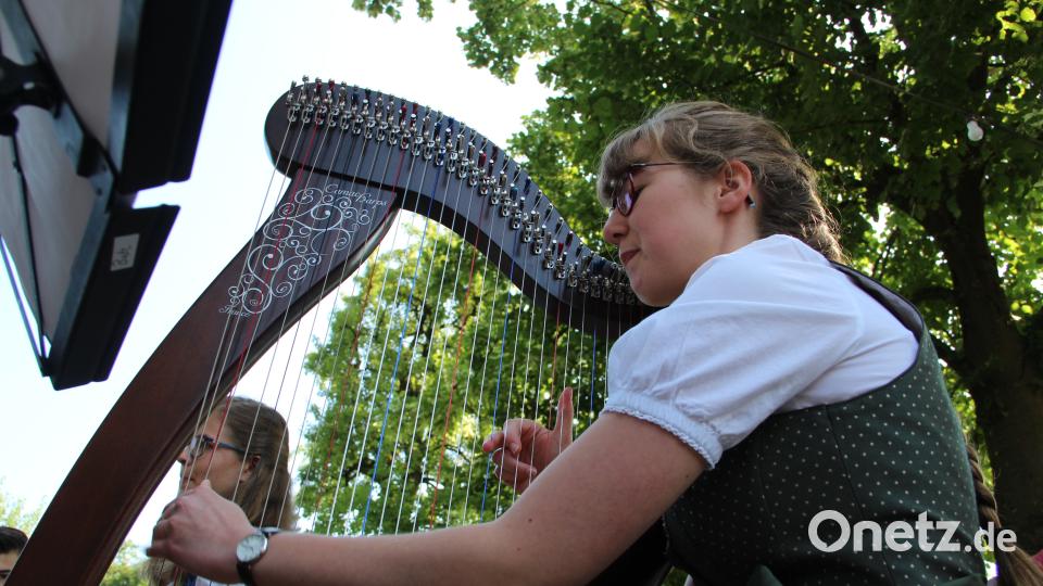 Michaela Stauber an der Harfe - einer der wenigen, die im Landkreis Amberg-Sulzbach gespielt werden. Uli Piehler