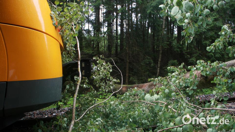 Der Triebwagenführer hatte den umgestürzten Baum zu spät erst bemerkt. Trotz einer Vollbremsung konnte der Zusammenstoß nicht mehr verhindert werden. wro