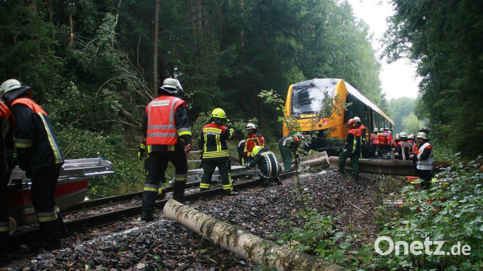 Mit Motorsägen machen sich die geschulten Feuerwehrleute an die Arbeit, um das Hindernis wegzuschaffen. wro
