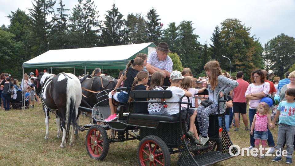 Ferienaktion der Pferdefreunde im Grenzland Vohenstrauß kommt bestens an. dob