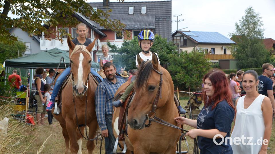 Ferienaktion der Pferdefreunde im Grenzland Vohenstrauß kommt bestens an. dob