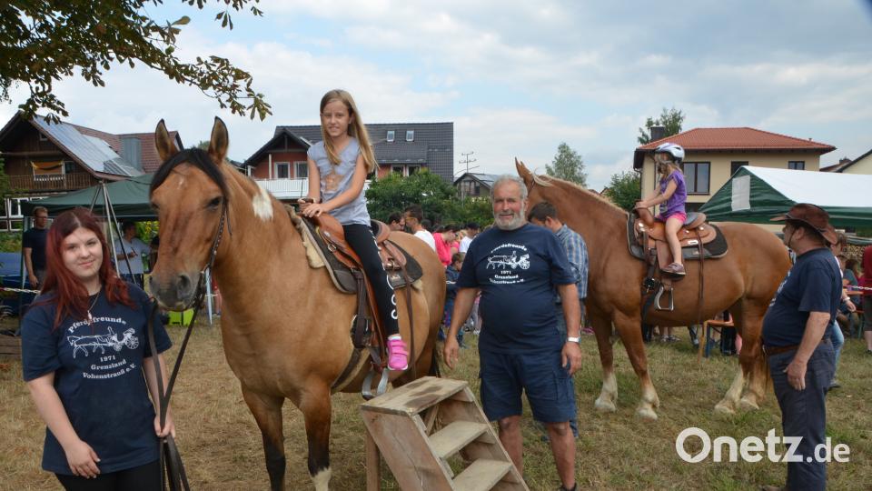 Ferienaktion der Pferdefreunde im Grenzland Vohenstrauß kommt bestens an. dob