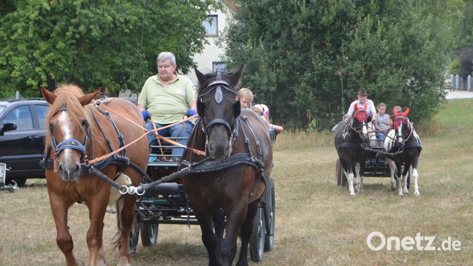 Ferienaktion der Pferdefreunde im Grenzland Vohenstrauß kommt bestens an. dob