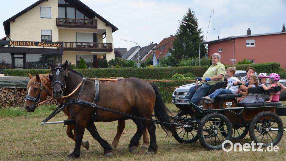 Ferienaktion der Pferdefreunde im Grenzland Vohenstrauß kommt bestens an. dob