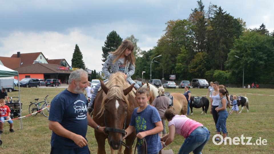 Ferienaktion der Pferdefreunde im Grenzland Vohenstrauß kommt bestens an. dob