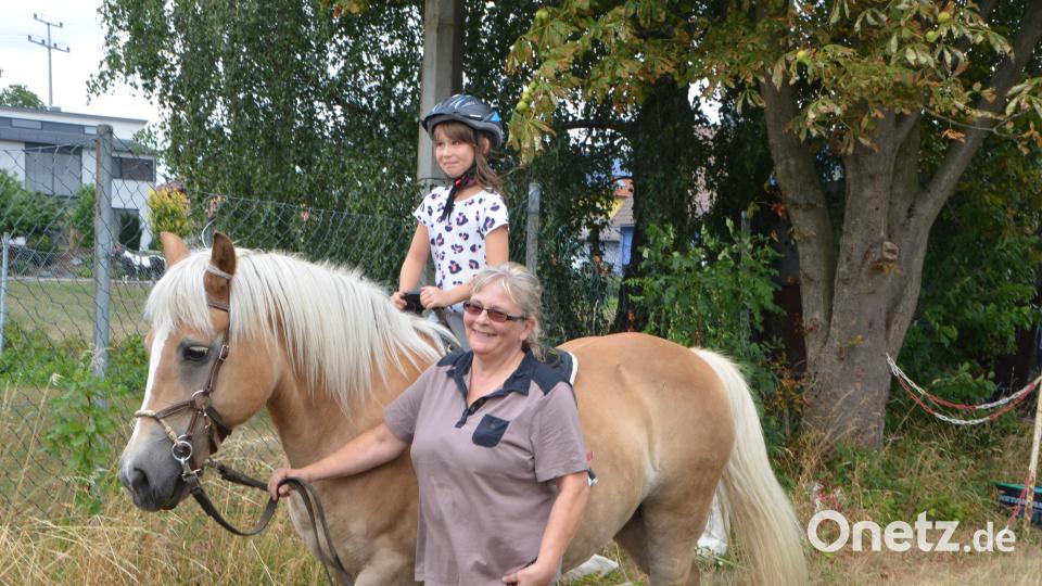 Ferienaktion der Pferdefreunde im Grenzland Vohenstrauß kommt bestens an. dob