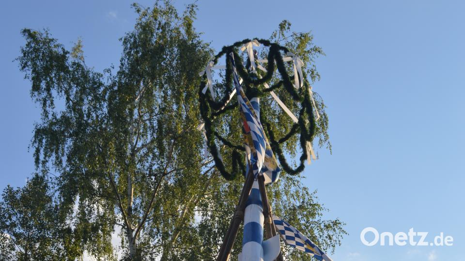 Traditionell stellten die Hüttner Kirwaburschen ihren Baum auf. Nach dem Austanzen waren Luis und myd