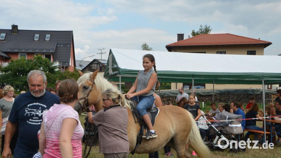 Ferienaktion der Pferdefreunde im Grenzland Vohenstrauß kommt bestens an. dob