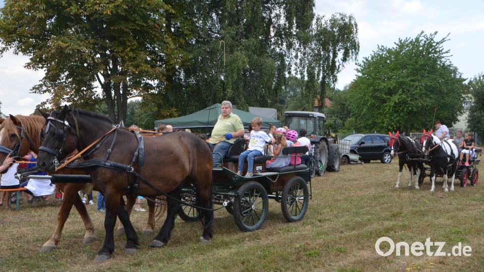 Ferienaktion der Pferdefreunde im Grenzland Vohenstrauß kommt bestens an. dob