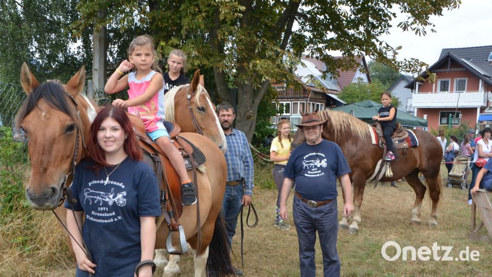 Ferienaktion der Pferdefreunde im Grenzland Vohenstrauß kommt bestens an. dob