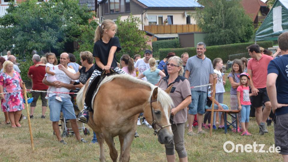 Ferienaktion der Pferdefreunde im Grenzland Vohenstrauß kommt bestens an. dob