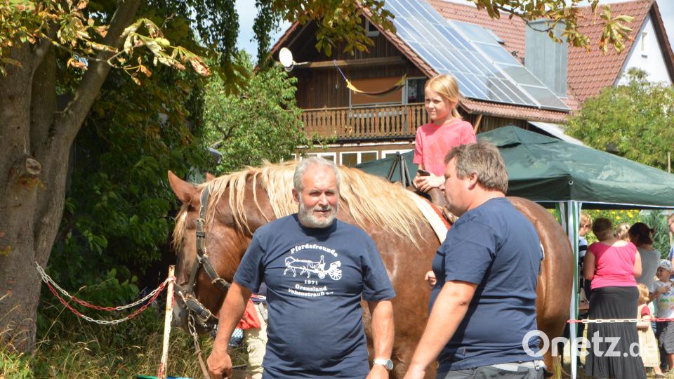 Ferienaktion der Pferdefreunde im Grenzland Vohenstrauß kommt bestens an. dob