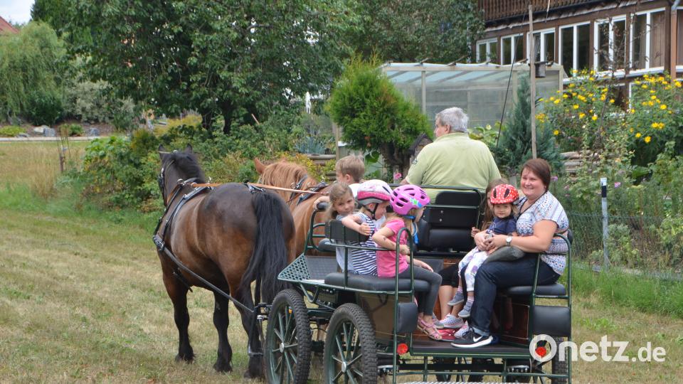 Ferienaktion der Pferdefreunde im Grenzland Vohenstrauß kommt bestens an. dob