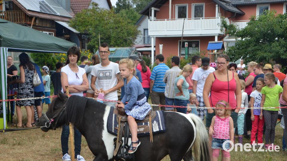 Ferienaktion der Pferdefreunde im Grenzland Vohenstrauß kommt bestens an. dob
