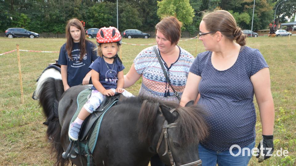 Ferienaktion der Pferdefreunde im Grenzland Vohenstrauß kommt bestens an. dob