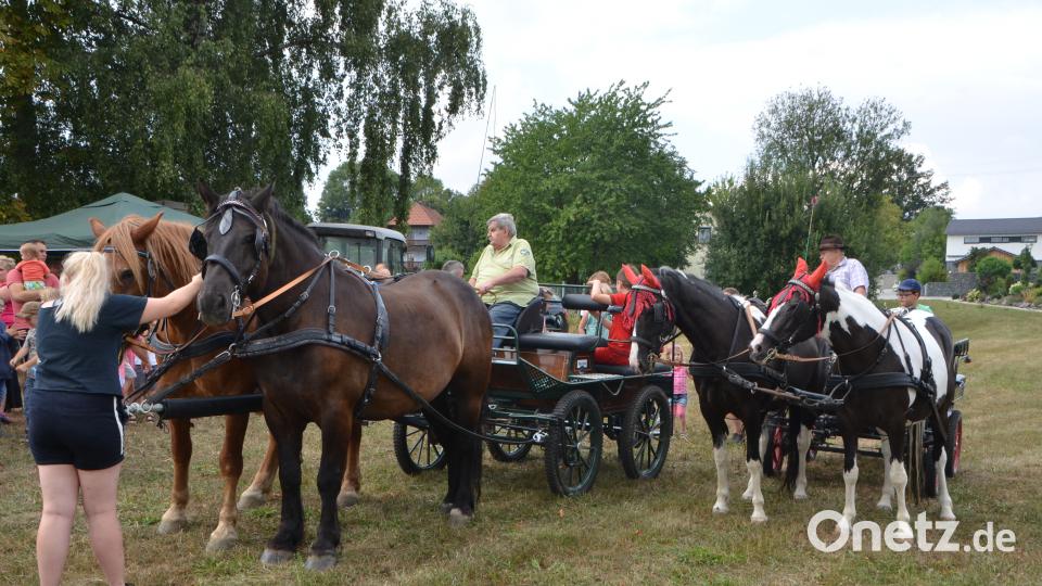 Ferienaktion der Pferdefreunde im Grenzland Vohenstrauß kommt bestens an. dob