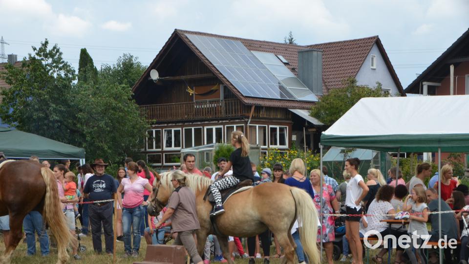 Ferienaktion der Pferdefreunde im Grenzland Vohenstrauß kommt bestens an. dob