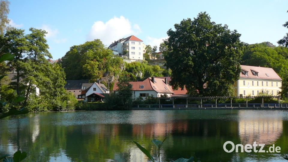 Das Bild spricht für sich: Baumriesen am Stadtweiher in Sulzbach-Rosenberg. Gottfried Geih
