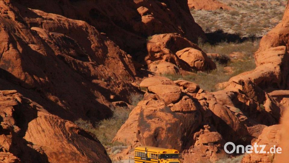 Bus im Valley of Fire: Mit dem Schulbus in die Wildnis Bild: Praschel