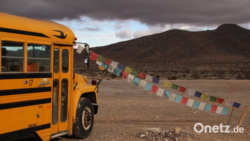 Mit dem Schulbus in die Wildnis Bild: Praschel