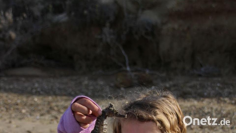 Paula mit einem Seepferdchen in Ojo de Liebre Bild: Praschel