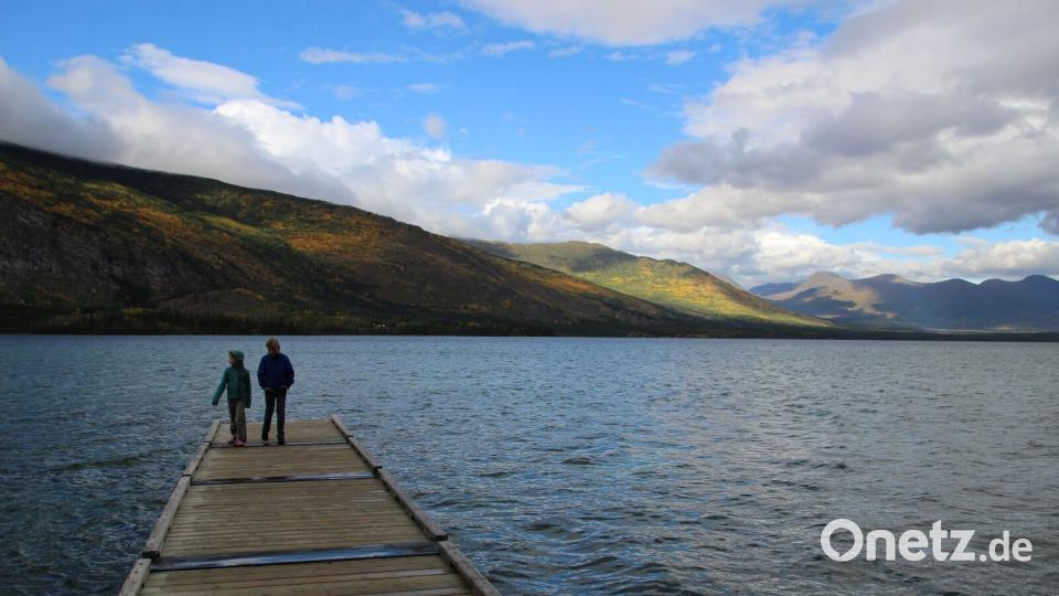 Camping bei Haines Junction. Mit dem Schulbus in die Wildnis Bild: Praschel