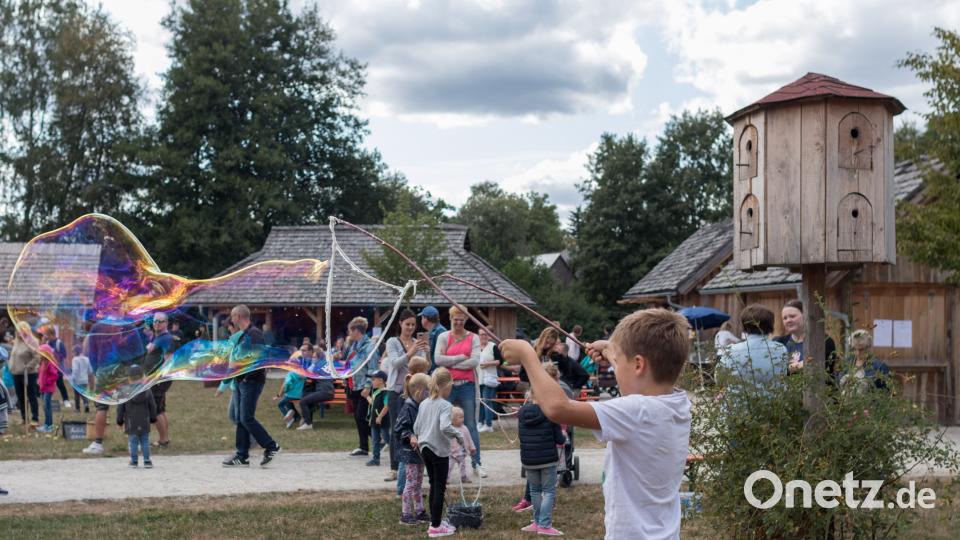 Gäste von nah und fern lockte das Kinder- und Familienfest an den Geschichtspark nach Bärnau. Bild: dtr