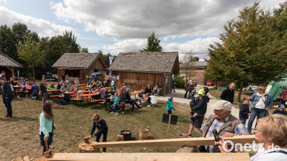 Gäste von nah und fern lockte das Kinder- und Familienfest an den Geschichtspark nach Bärnau. Bild: dtr