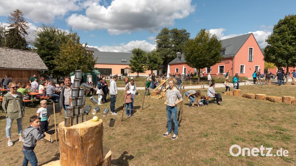 Gäste von nah und fern lockte das Kinder- und Familienfest an den Geschichtspark nach Bärnau. Bild: dtr