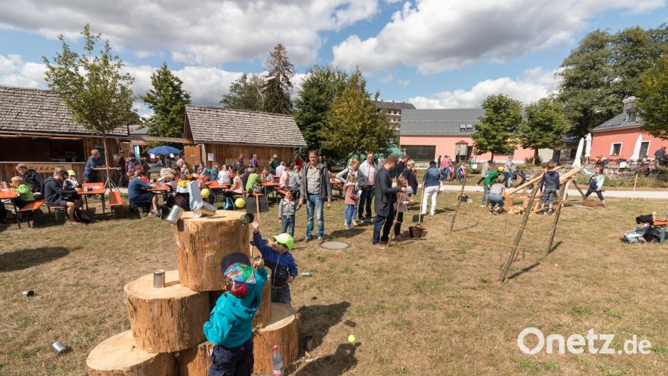 Gäste von nah und fern lockte das Kinder- und Familienfest an den Geschichtspark nach Bärnau. Bild: dtr