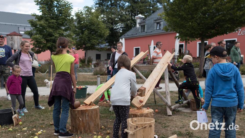 Gäste von nah und fern lockte das Kinder- und Familienfest an den Geschichtspark nach Bärnau. Bild: dtr