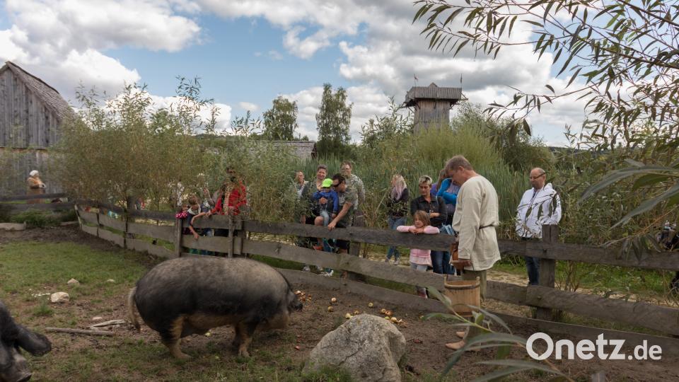 Gäste von nah und fern lockte das Kinder- und Familienfest an den Geschichtspark nach Bärnau. Bild: dtr