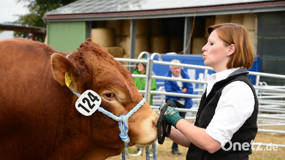 Impressionen von der Bayerischen Landestierschau des Fleischrinderverbands Bayern in Moosbach. Bild: bey