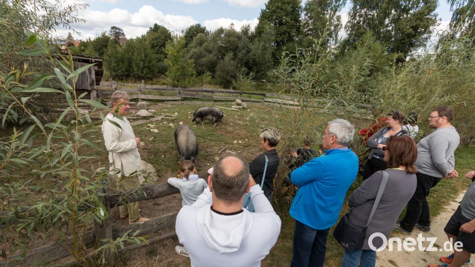 Gäste von nah und fern lockte das Kinder- und Familienfest an den Geschichtspark nach Bärnau. Bild: dtr