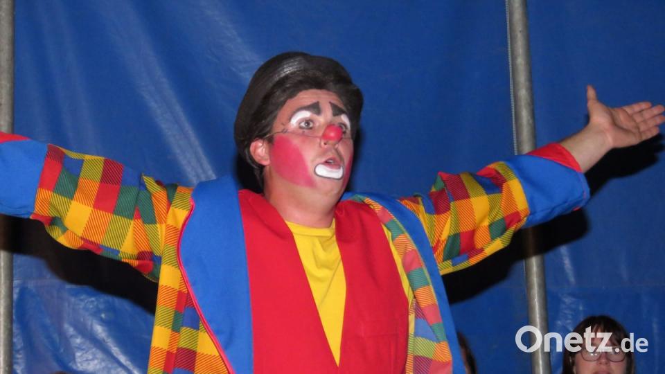 Zirkus Henry in Tirschenreuth Bild: ubb