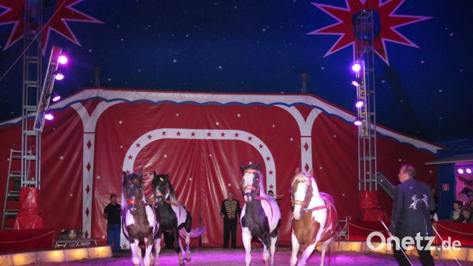 Zirkus Henry gastiert in Tirschenreuth. Bild: ubb