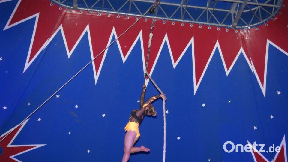 Zirkus Henry gastiert in Tirschenreuth. Bild: ubb