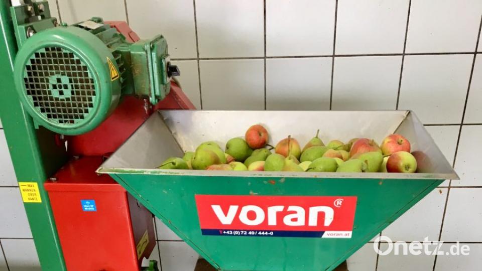 Aus den Apfelschnitzeln unten wird der Saft gepresst. Bild: gri