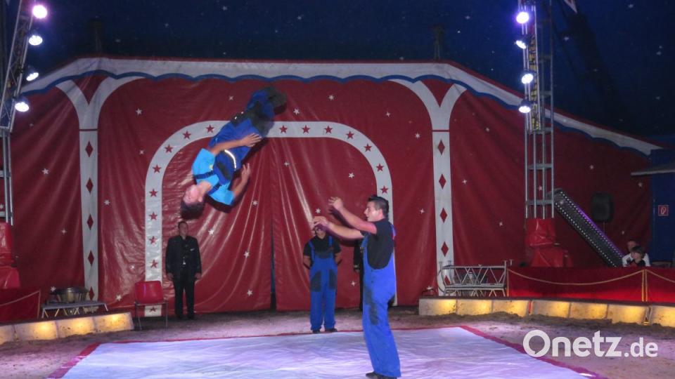 Zirkus Henry gastiert in Tirschenreuth. Bild: ubb