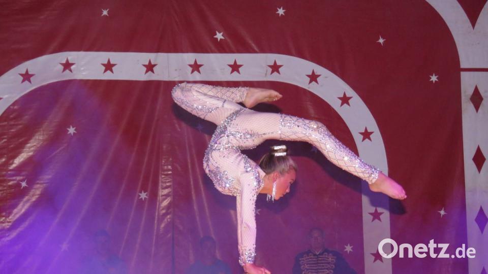 Zirkus Henry gastiert in Tirschenreuth. Bild: ubb