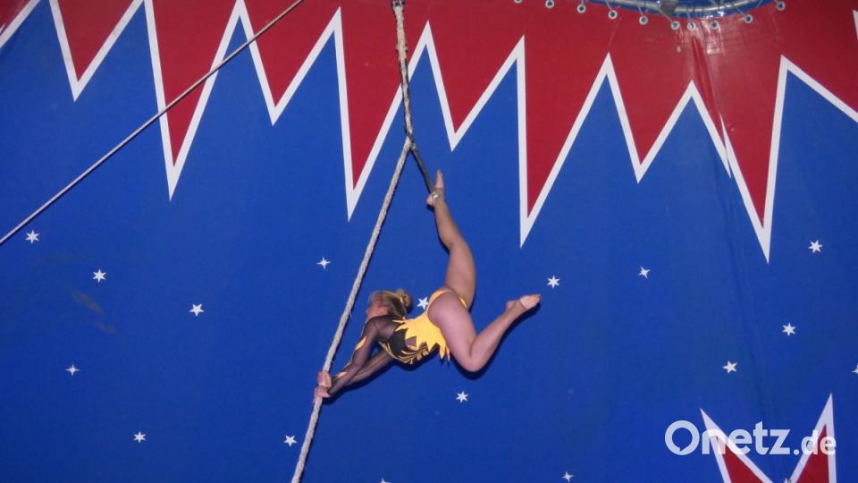 Zirkus Henry gastiert in Tirschenreuth. Bild: ubb